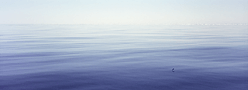 Calm sea image fine art print