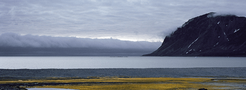 Gravneset, Svalbard