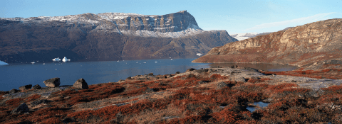 Harefjord, Scoresby Sund, Greenland