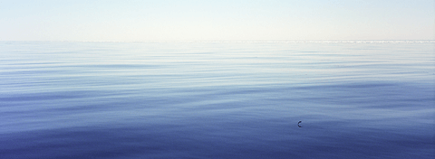 Calm at sea off the coast of Northeast Greenland