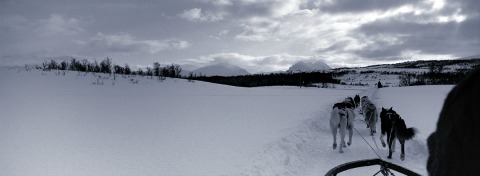 Sledding on Kvaløya, Norway